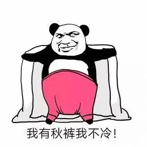 天气太冷了，谈论朋友的圈子。