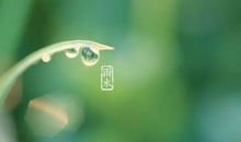描写雨水节气的古诗有哪些