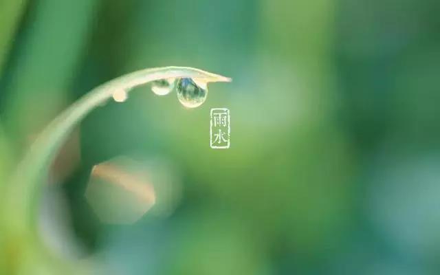 美丽的雨水句子