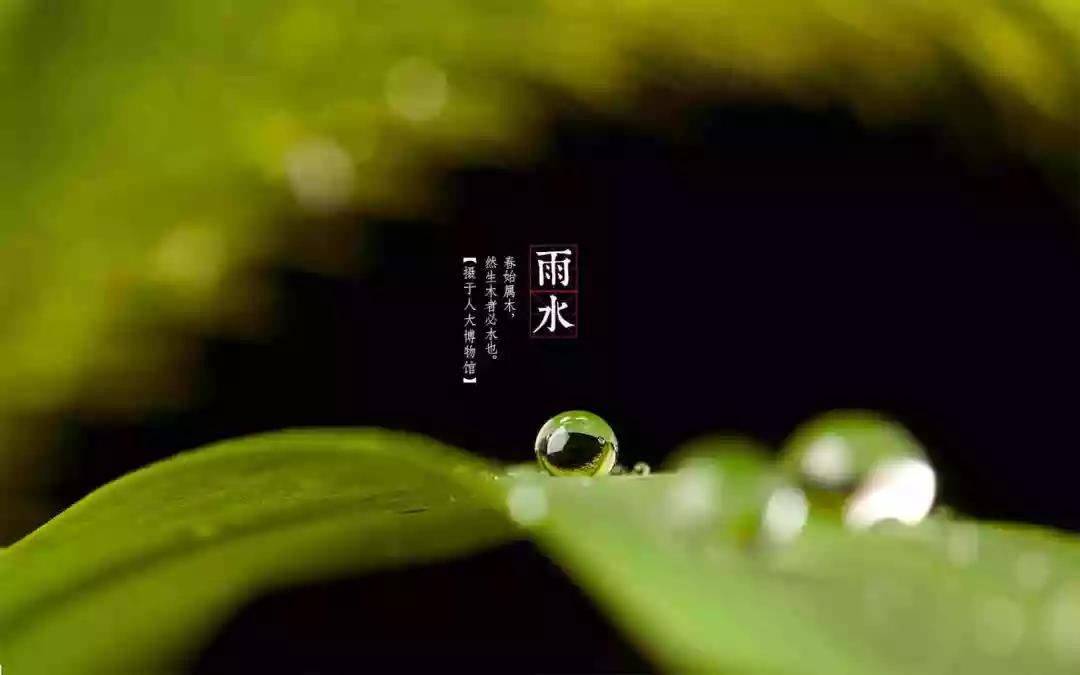 下雨和太阳能条款1