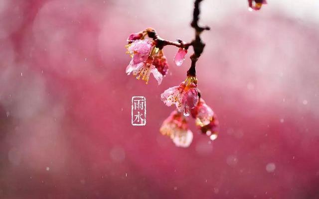 15.布料的云，幸福的幸福，最佳法律，美丽的雨，灵魂的祝福，祝福。雨水，祝你生活愉快，照顾担心;幸福增长，有一种味道！