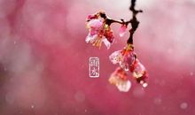 雨水的经典祝福语