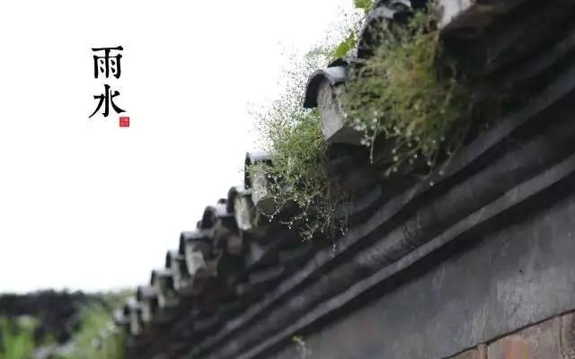 雨的经典问候