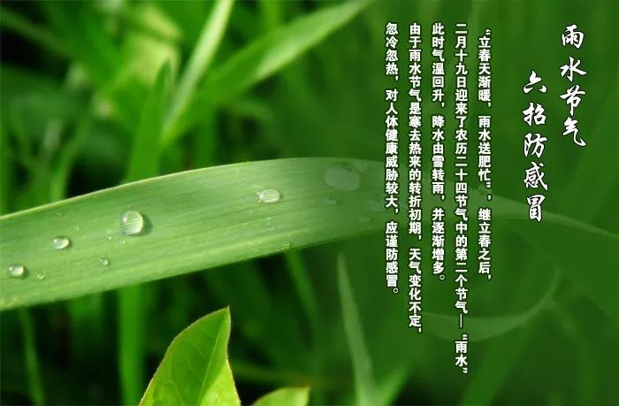 雨水问候