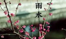 二十四节气雨水诗句