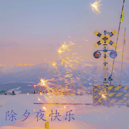 15.欢迎辞职，我希望：新年快乐，健康，福利，快乐，吉祥，储藏室，关关，广州，高水。