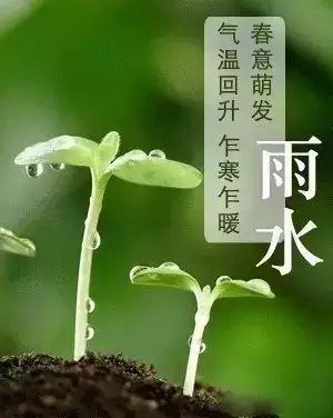 青玉，绿色，衣服和斜坡。