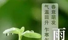 二十四节气雨水的诗句