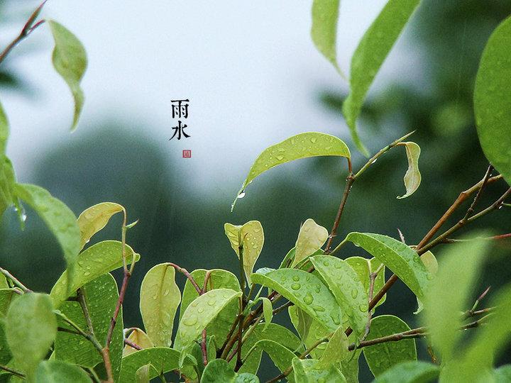 二十四条雨水诗歌节
