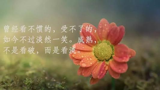 生活现实报价