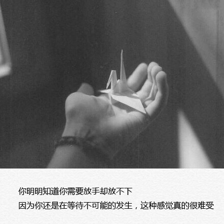 一个抓住了moodsay的朋友圈