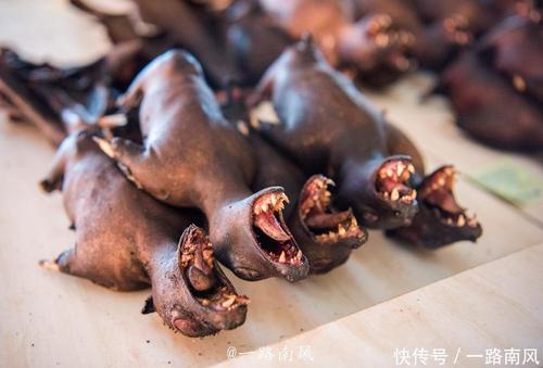 吃蝙蝠