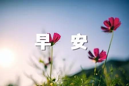 早上卖得很短