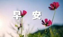 早上问好的句子简短