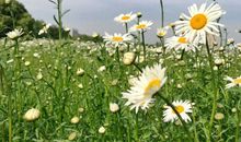 友情祝愿的句子唯美