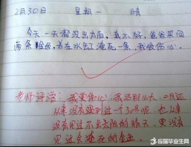 使用许多句子一年级