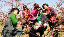 2021春天赏花踏青诗句合集