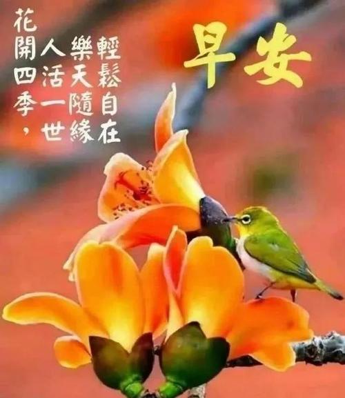 描述这首诗