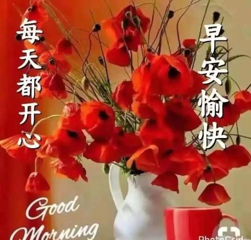 祝福周日信息