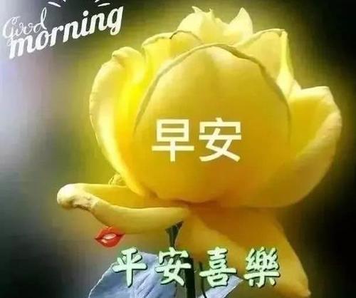 祝福恋人恢复你早上好