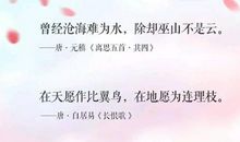 抒情诗爱情诗句