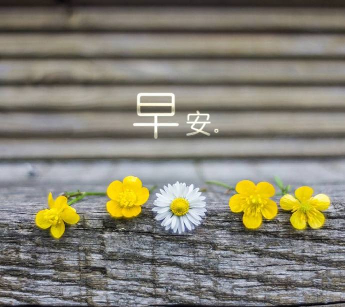 微信成员问候SMS 1