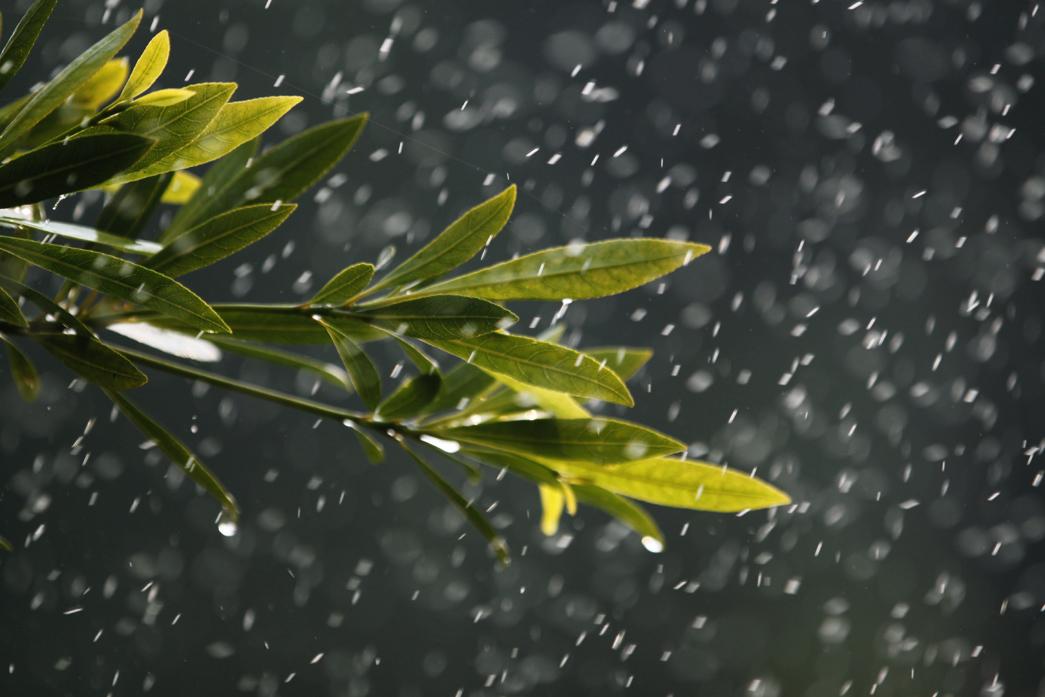 雨天寒冷给客户问候