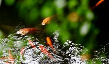 春风夏雨怎么造句