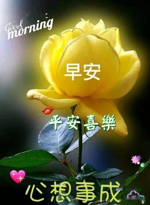 早上好，早上好，学生问候