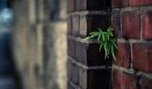 领导短信问候生日会