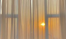 白月光与朱砂痣的文案小句子