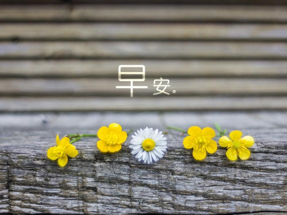 早上好，你想迎接短信1