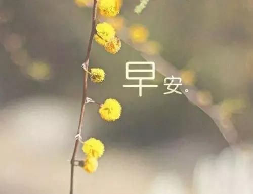 早上好，你想迎接短信