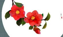 表达对友情不舍的句子