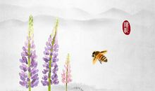 对于友情的句子扎心