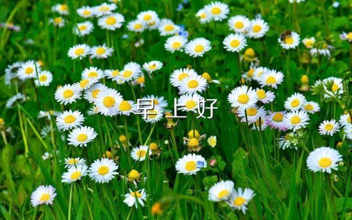 15，在早上飞行的第一个臭，送你甜蜜的梦想温暖，香奶问候，甜面包宠物，你是幸福的城堡公主，你是快乐情节的主角，爱你，宝贝。
