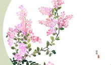 记承天寺夜游关于友情的句子