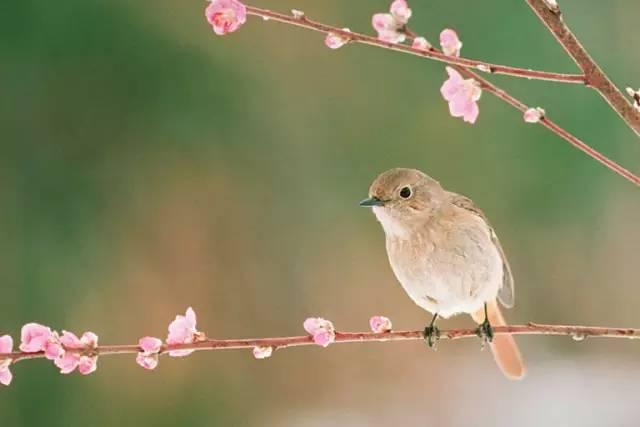晓孝