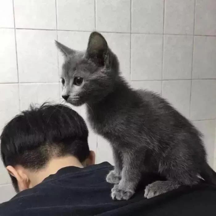 绝望的哭泣段落2