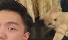 表白到哭的一段话