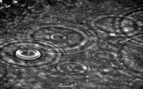 秋天早晨雨招呼消息