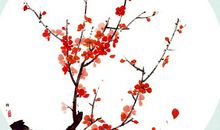 爱情和友情对比的句子