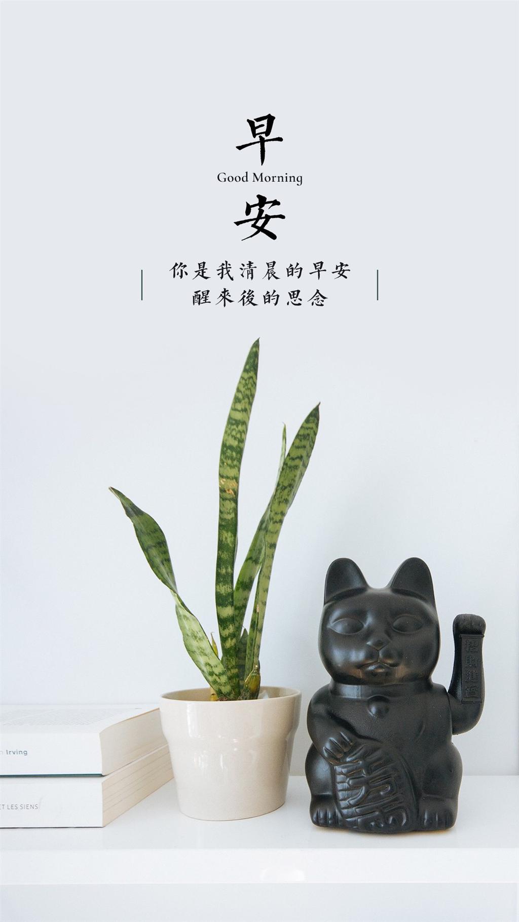 美丽的经典早安问候说1