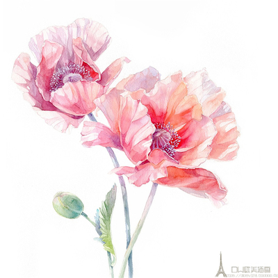 表表达中的句子和皇帝的真正友谊1