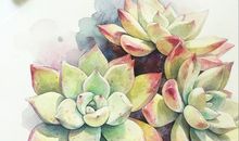 不需要友情的句子