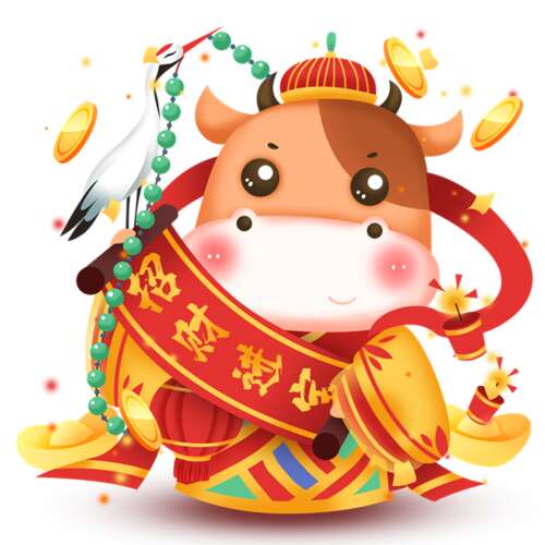 新年的信息