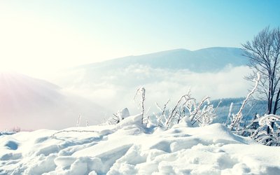 我手里拿着冬天。如果你不给你一块。