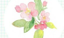 长久友情的唯美句子