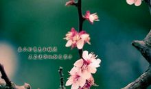 春天说说的句子大全