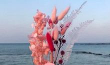 三八妇女节好听的祝福语句子